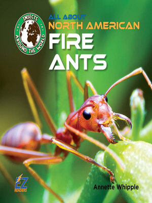 cover image of All About North American Fire Ants